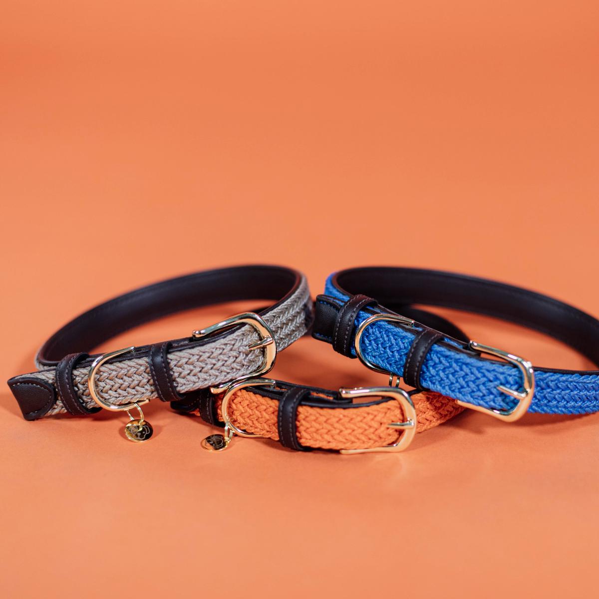 Kentucky Horsewear Plaited Nylon Dog Collar
