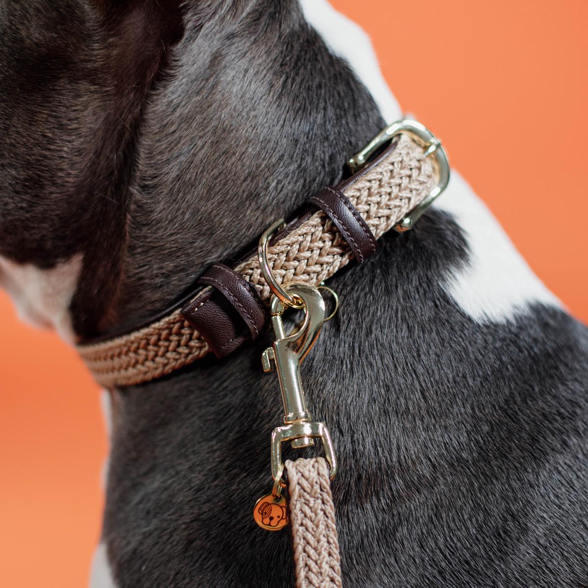 Kentucky Horsewear Plaited Nylon Dog Collar