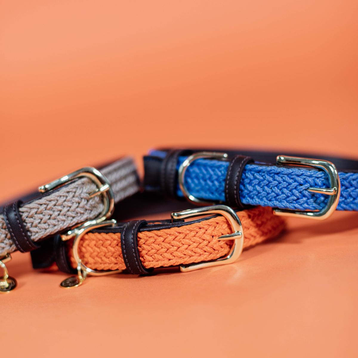 Kentucky Horsewear Plaited Nylon Dog Collar