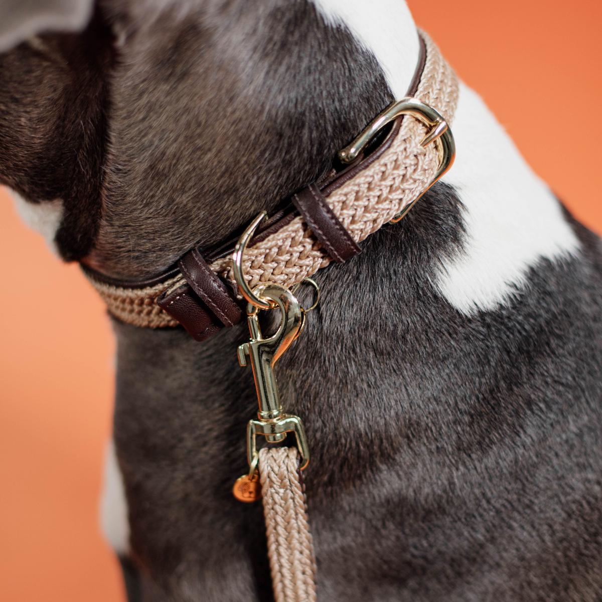 Kentucky Horsewear Plaited Nylon Dog Leash