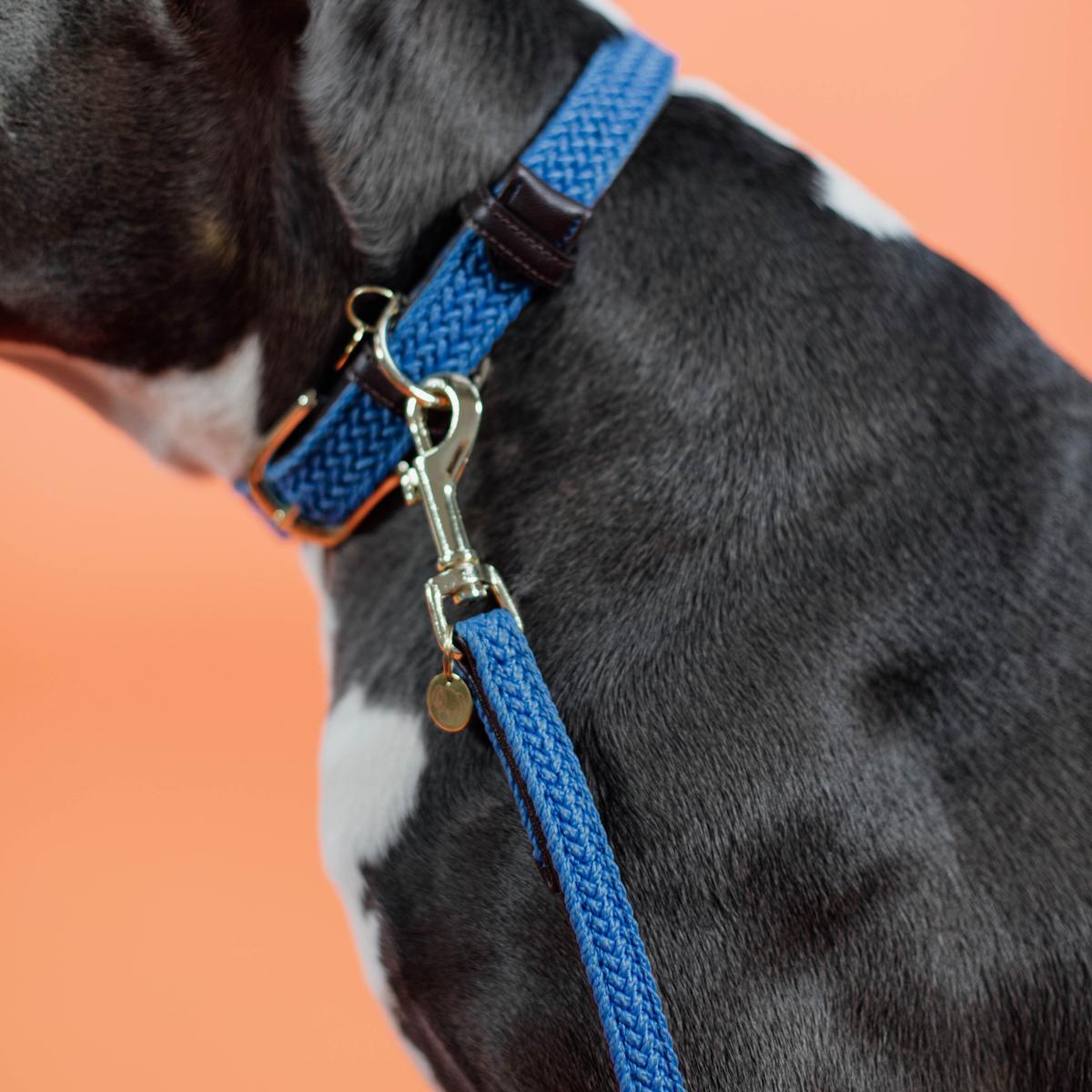 Kentucky Horsewear Plaited Nylon Dog Leash
