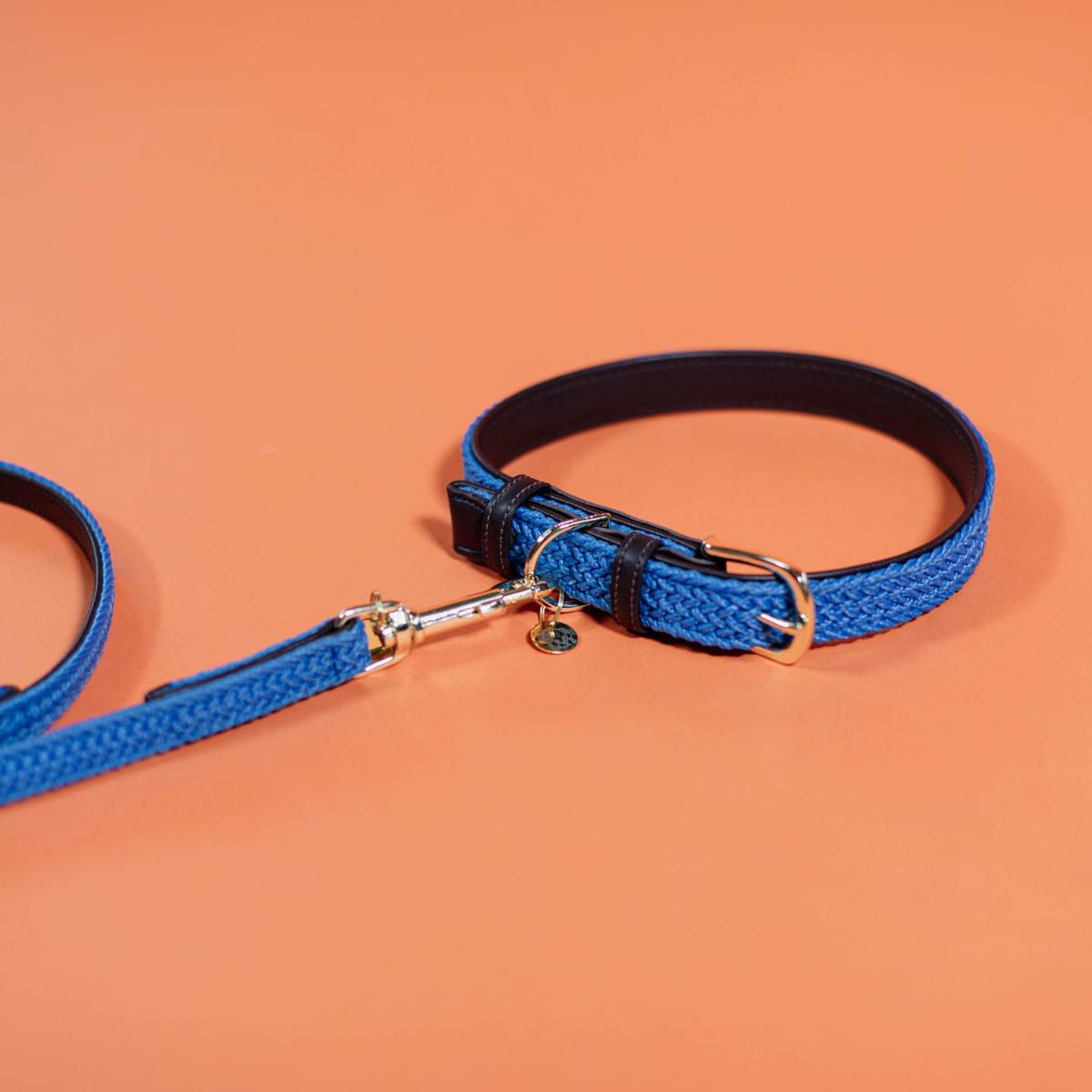 Kentucky Horsewear Plaited Nylon Dog Leash