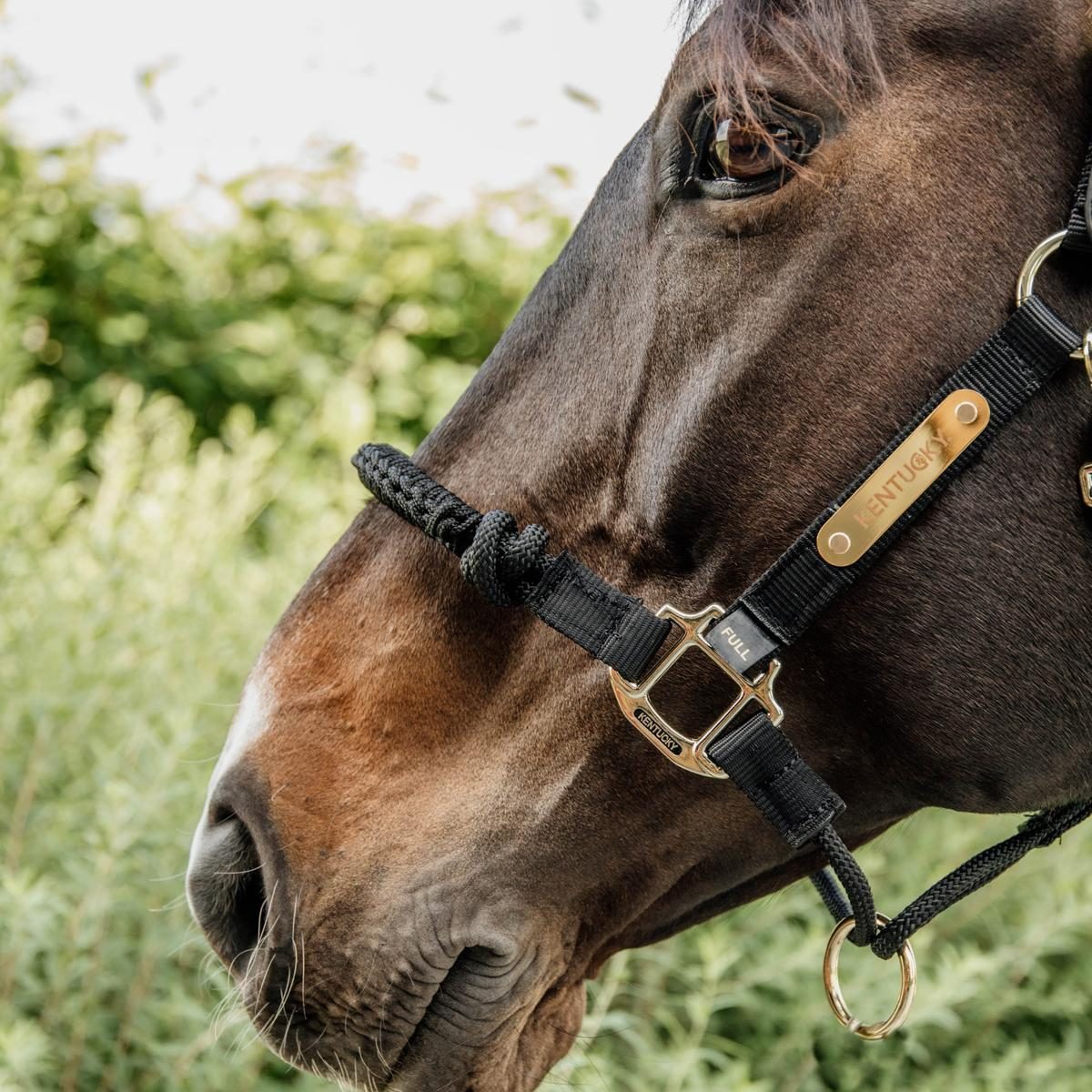 Kentucky Horsewear Control Halter