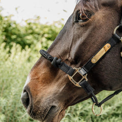 Kentucky Horsewear Control Halter Neck Piece