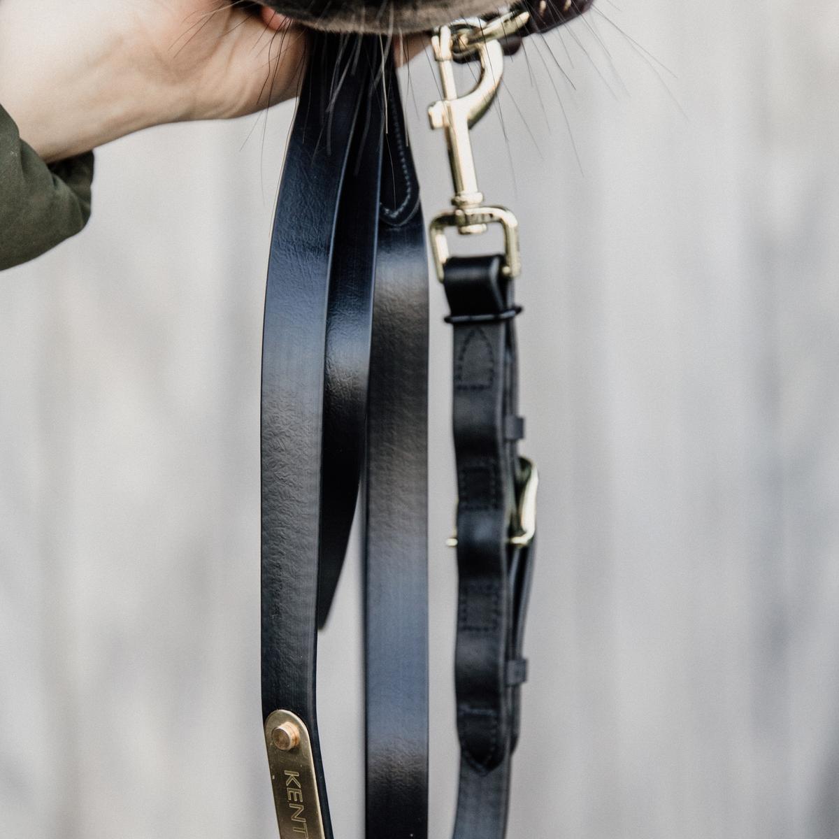 Kentucky Horsewear Presentation Lead