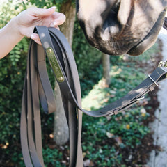 Kentucky Horsewear Stallion Lead