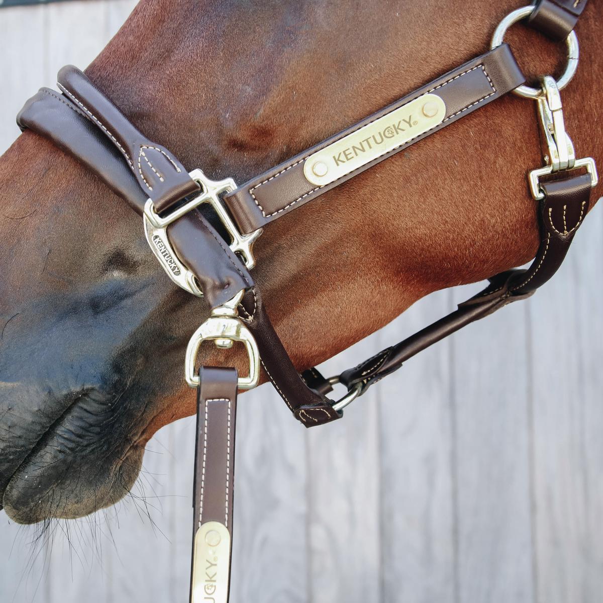 Kentucky Horsewear Leather Covered Chain Lead