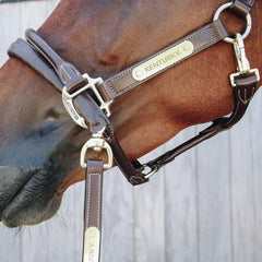 Kentucky Horsewear Leather Covered Chain Lead