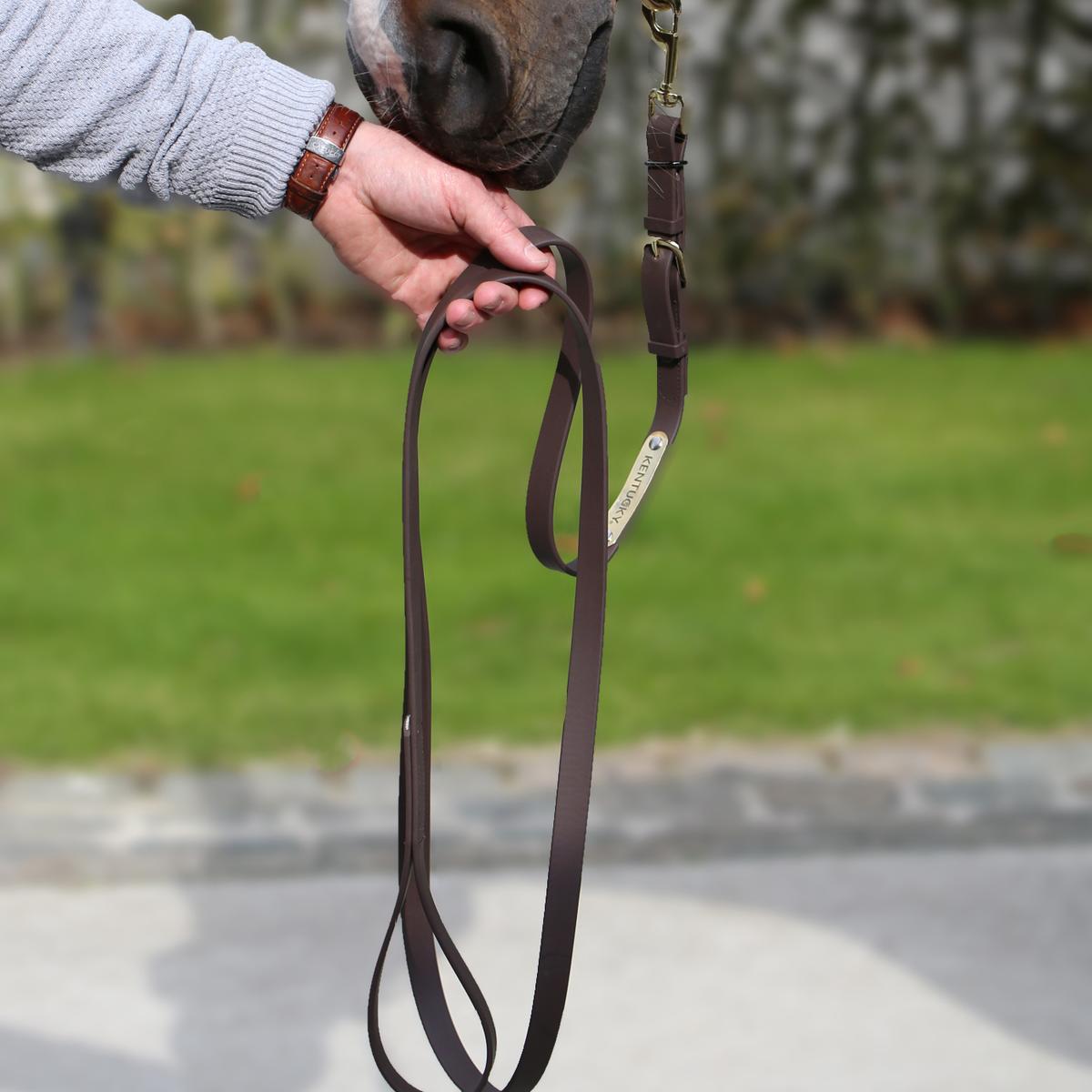 Kentucky Horsewear Presentation Lead