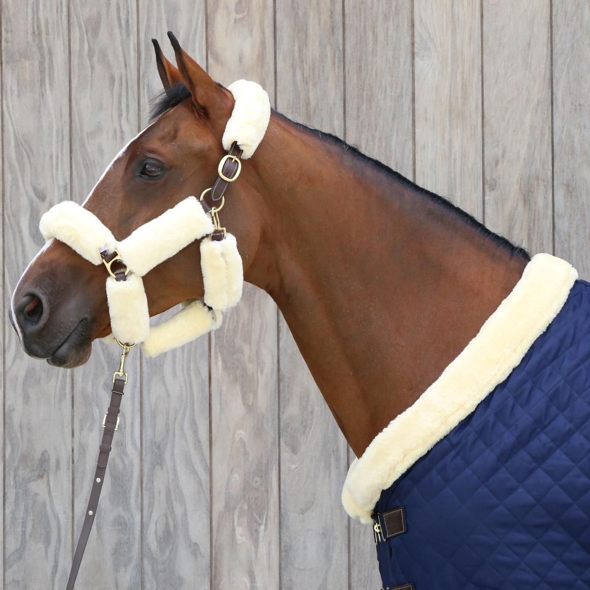 Kentucky Horsewear Presentation Lead