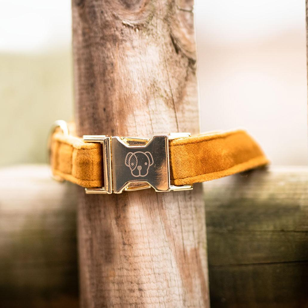 Kentucky Horsewear Dog Collar Velvet
