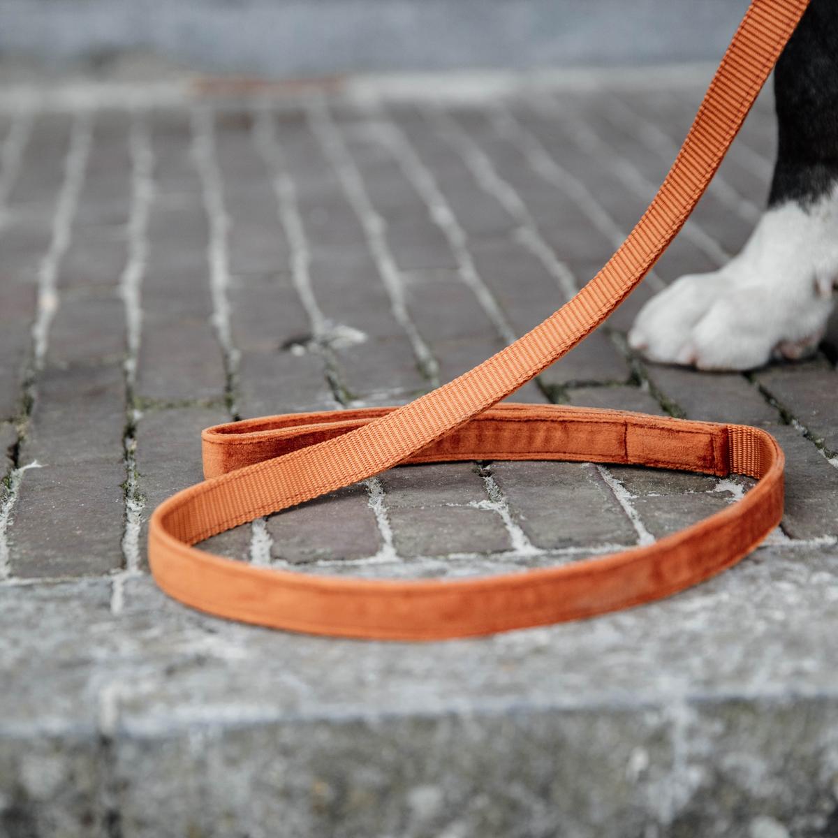 Kentucky Horsewear Dog Leash Velvet 120 cm