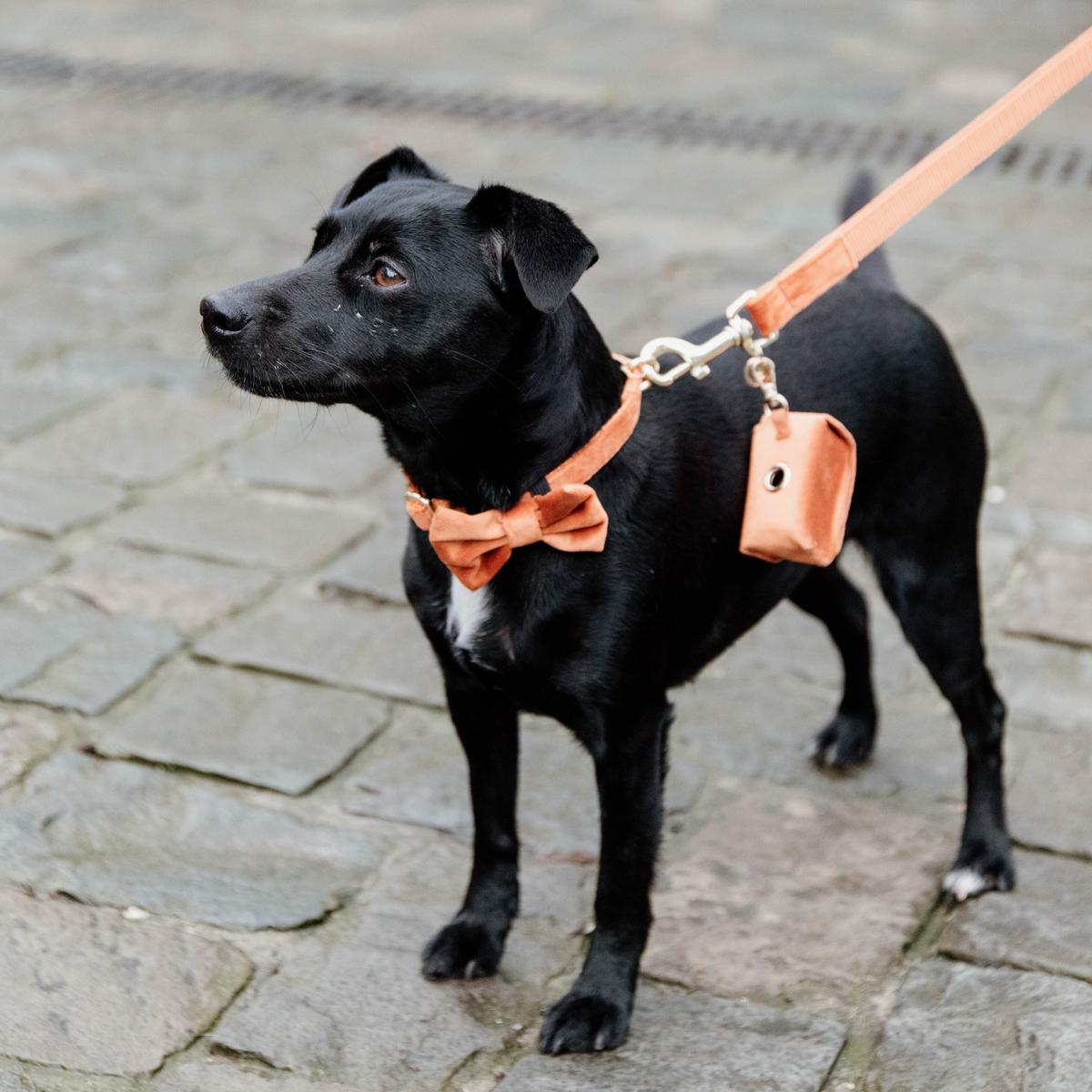 Kentucky Horsewear Dog Leash Velvet 120 cm