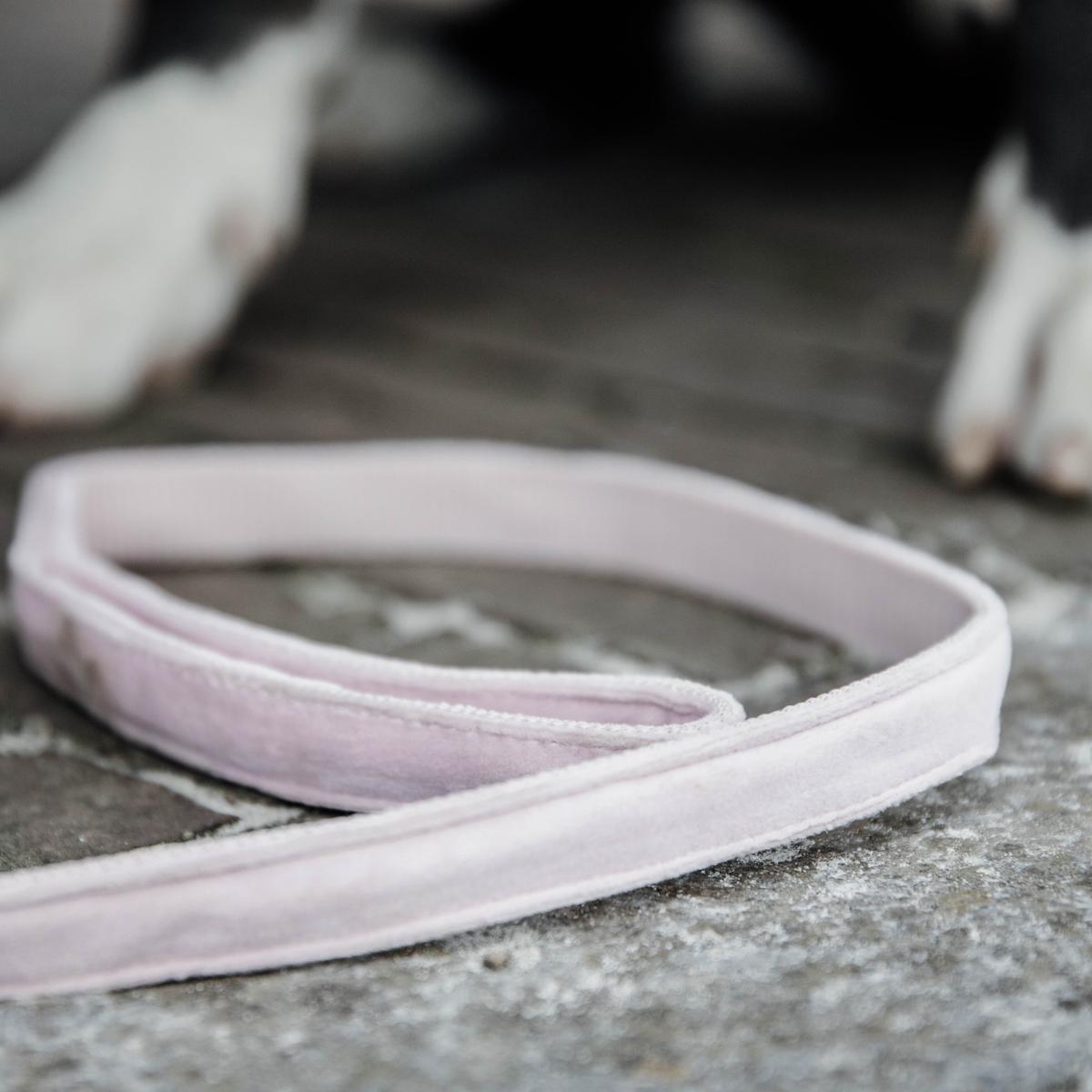 Kentucky Horsewear Dog Leash Velvet 120 cm