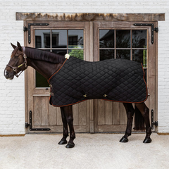 Kentucky Horsewear Stable Rug Wave 160g
