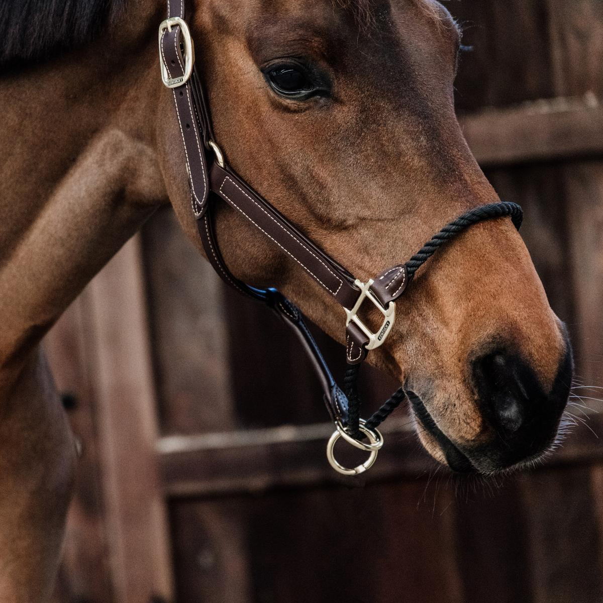 Kentucky Horsewear Leather Rope Halter