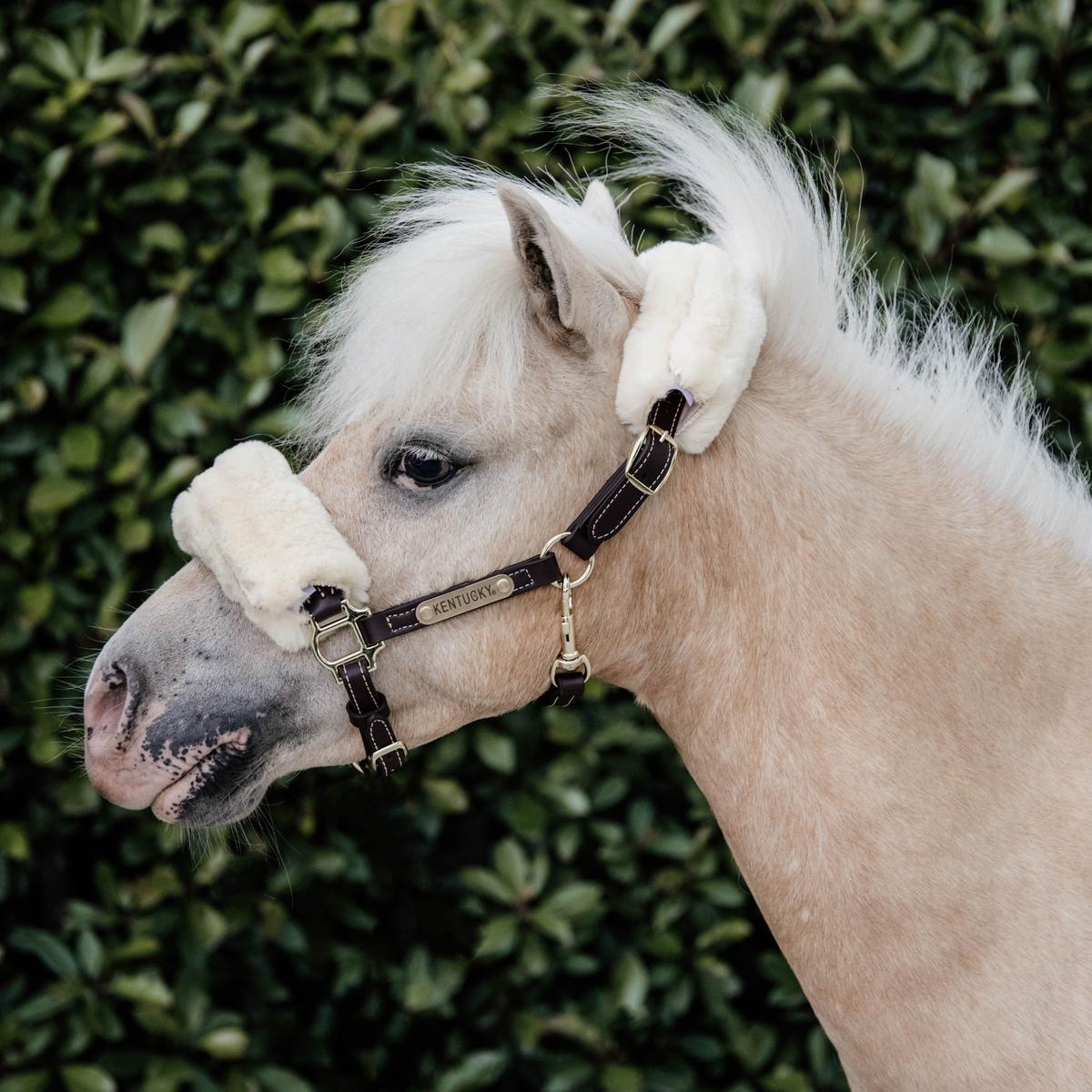 Kentucky Horsewear Leather Halter Sheepskin