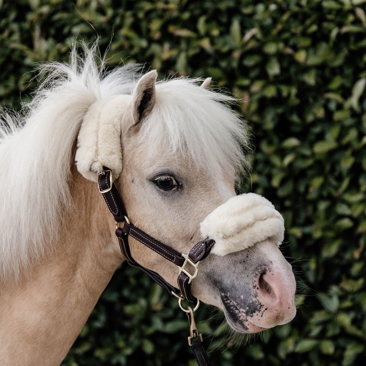 Kentucky Horsewear Leather Halter Sheepskin