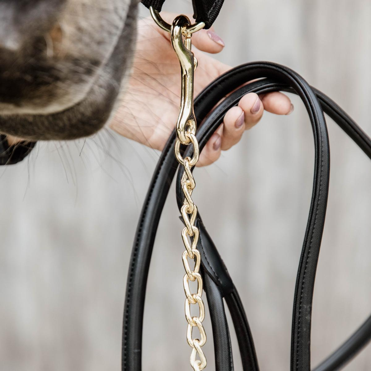 Kentucky Horsewear Leather Chain Lead