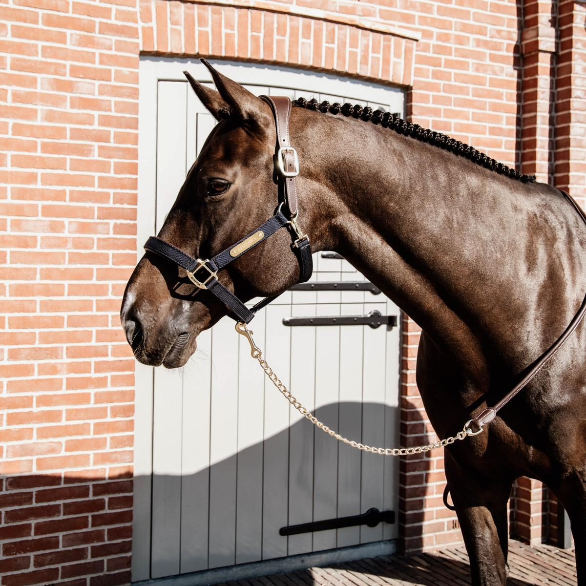 Kentucky Horsewear Leather Chain Lead