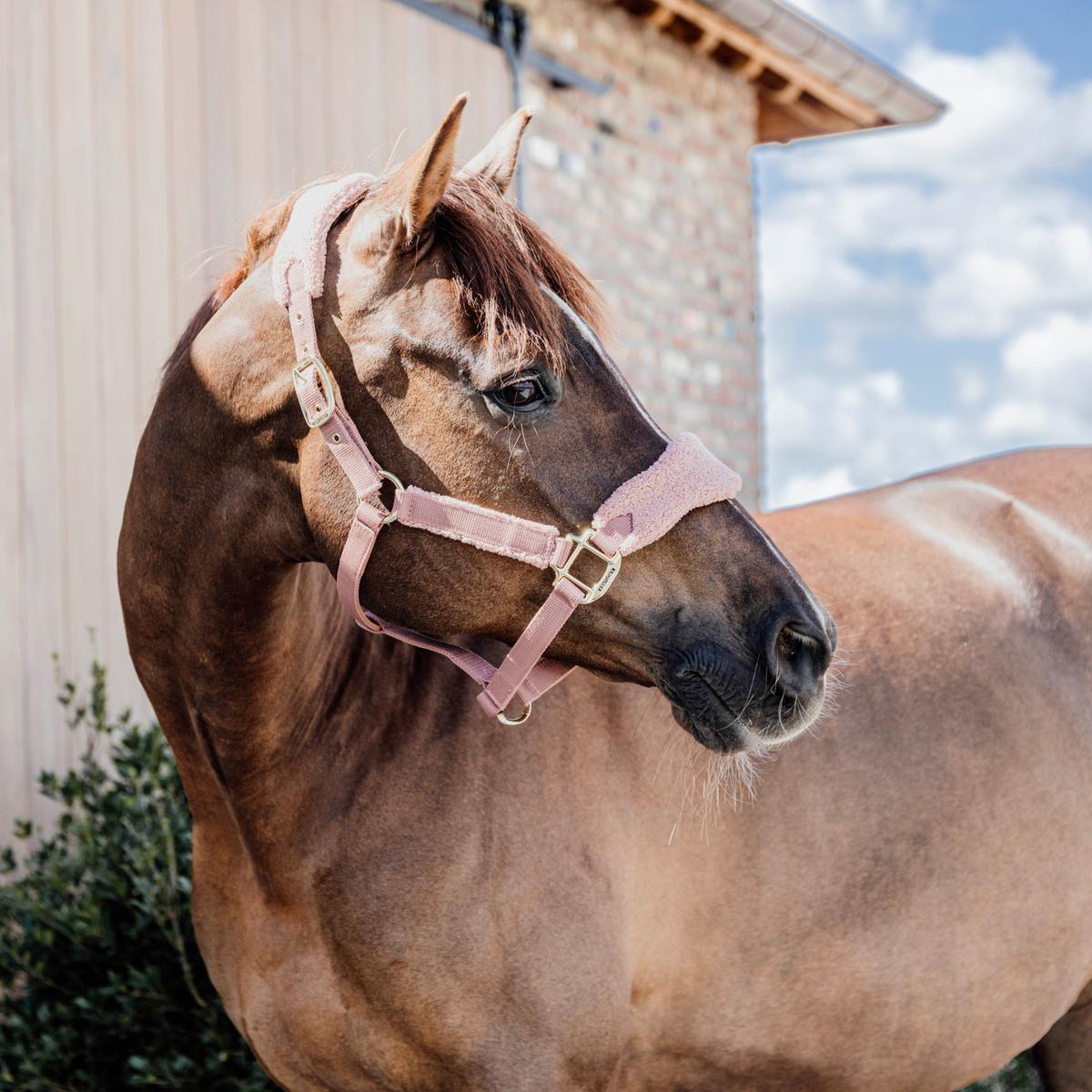Kentucky Horsewear Teddy Fleece Halter