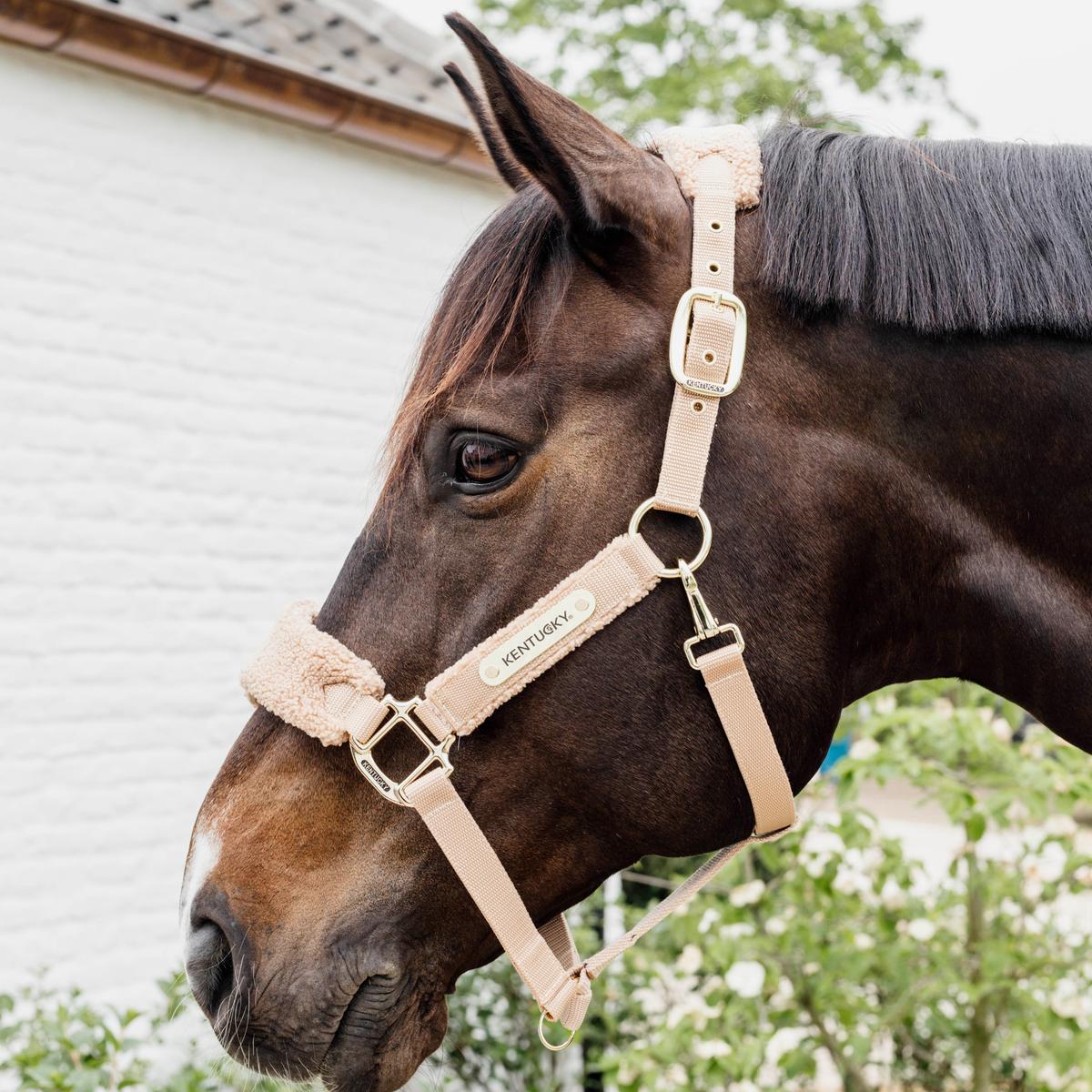 Kentucky Horsewear Teddy Fleece Halter