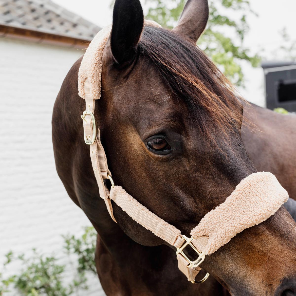 Kentucky Horsewear Teddy Fleece Halter