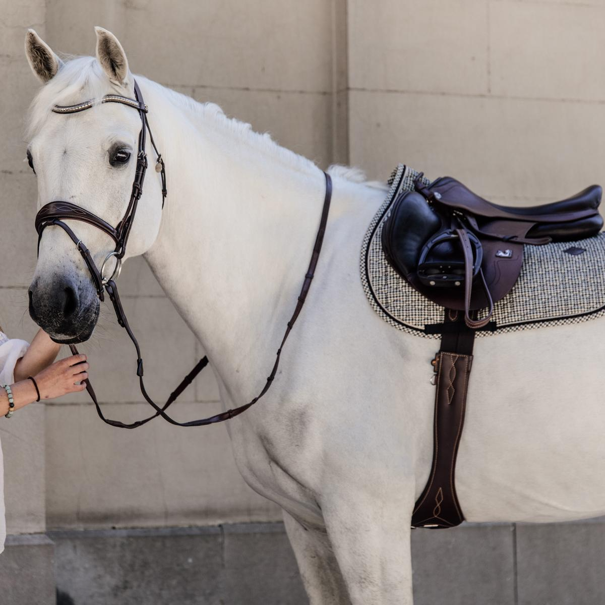Kentucky Horsewear Saddle Pad Pied De Poule Jumping