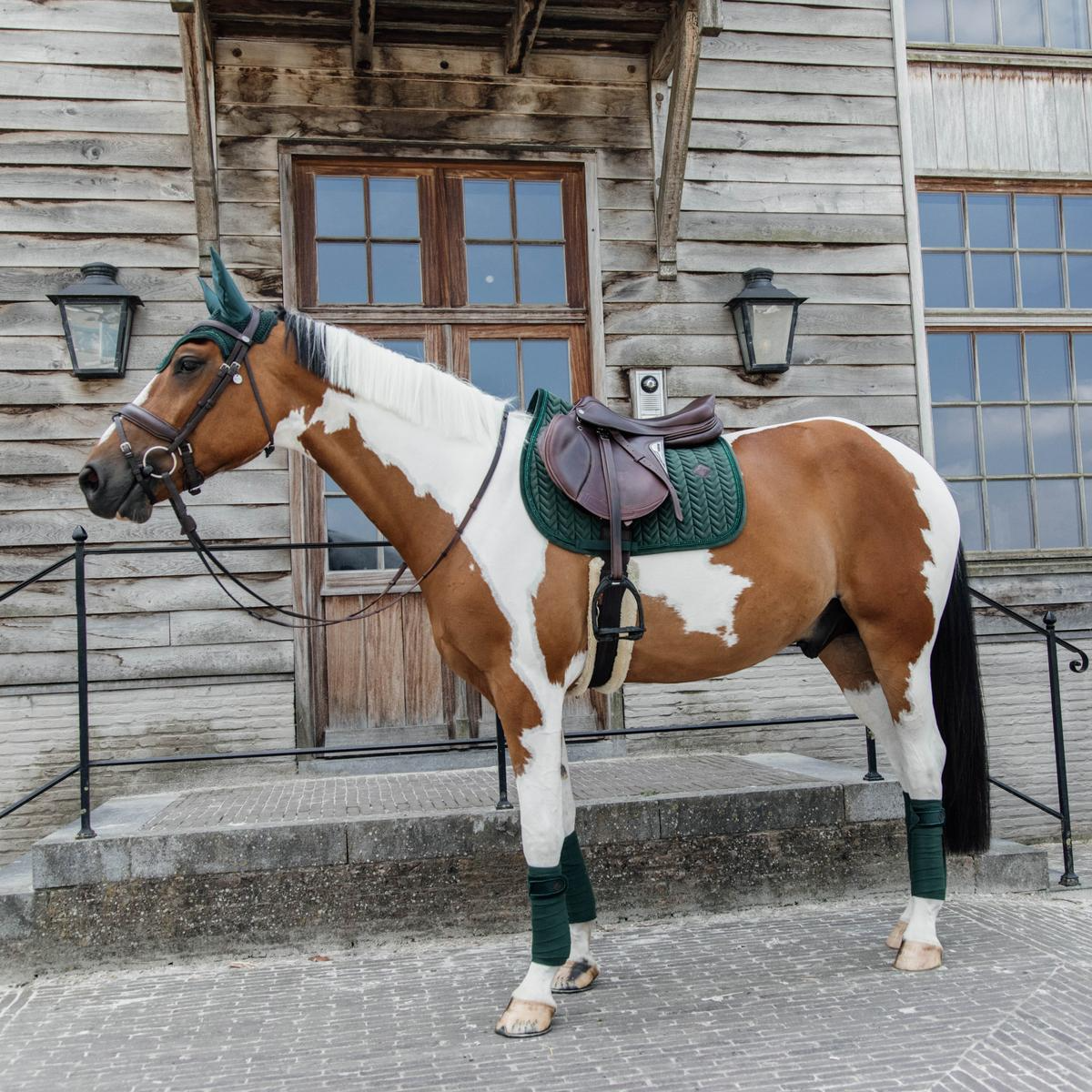 Kentucky Horsewear Saddle Pad Velvet Pearls Jumping