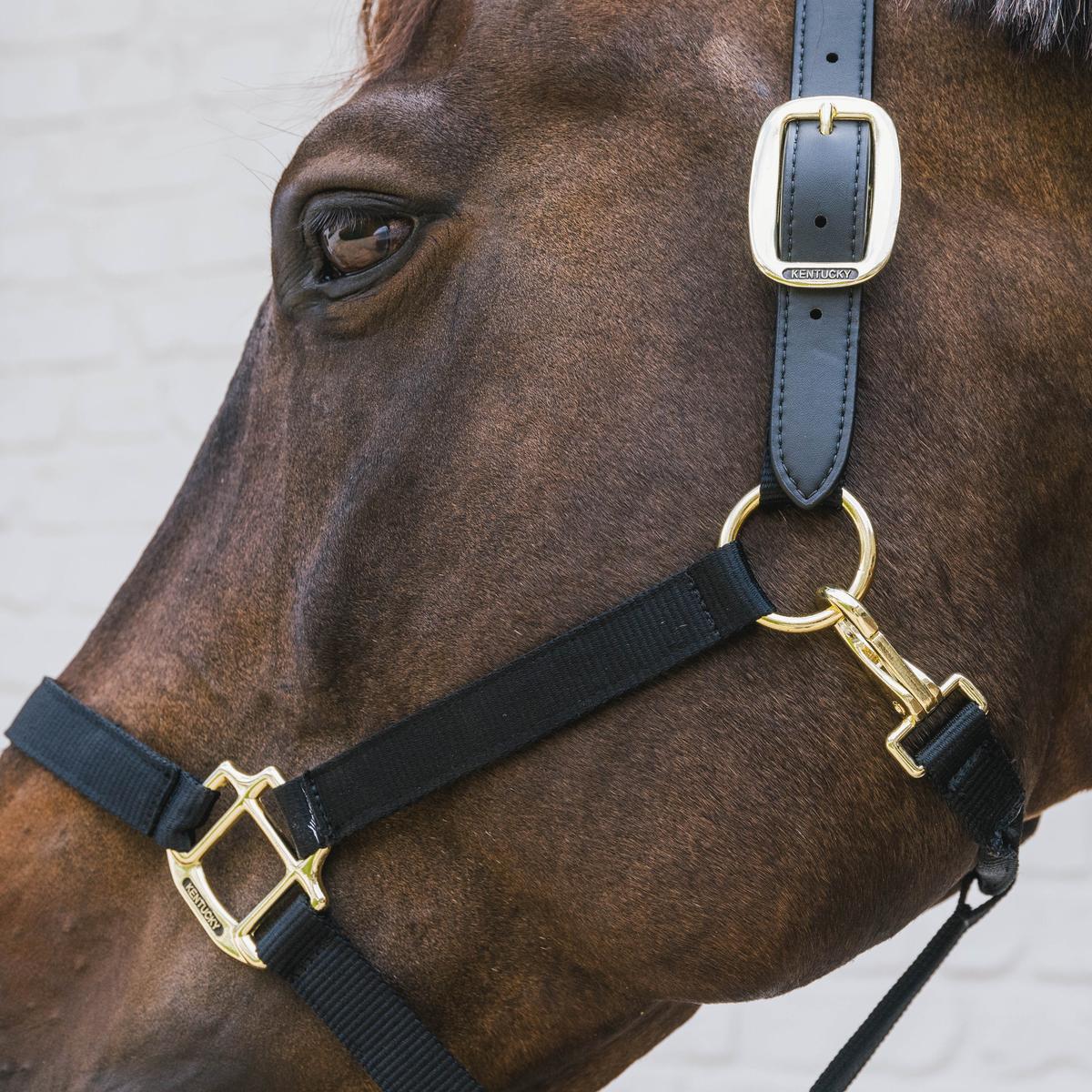Kentucky Horsewear Nylon Halter Breakaway Neck Piece