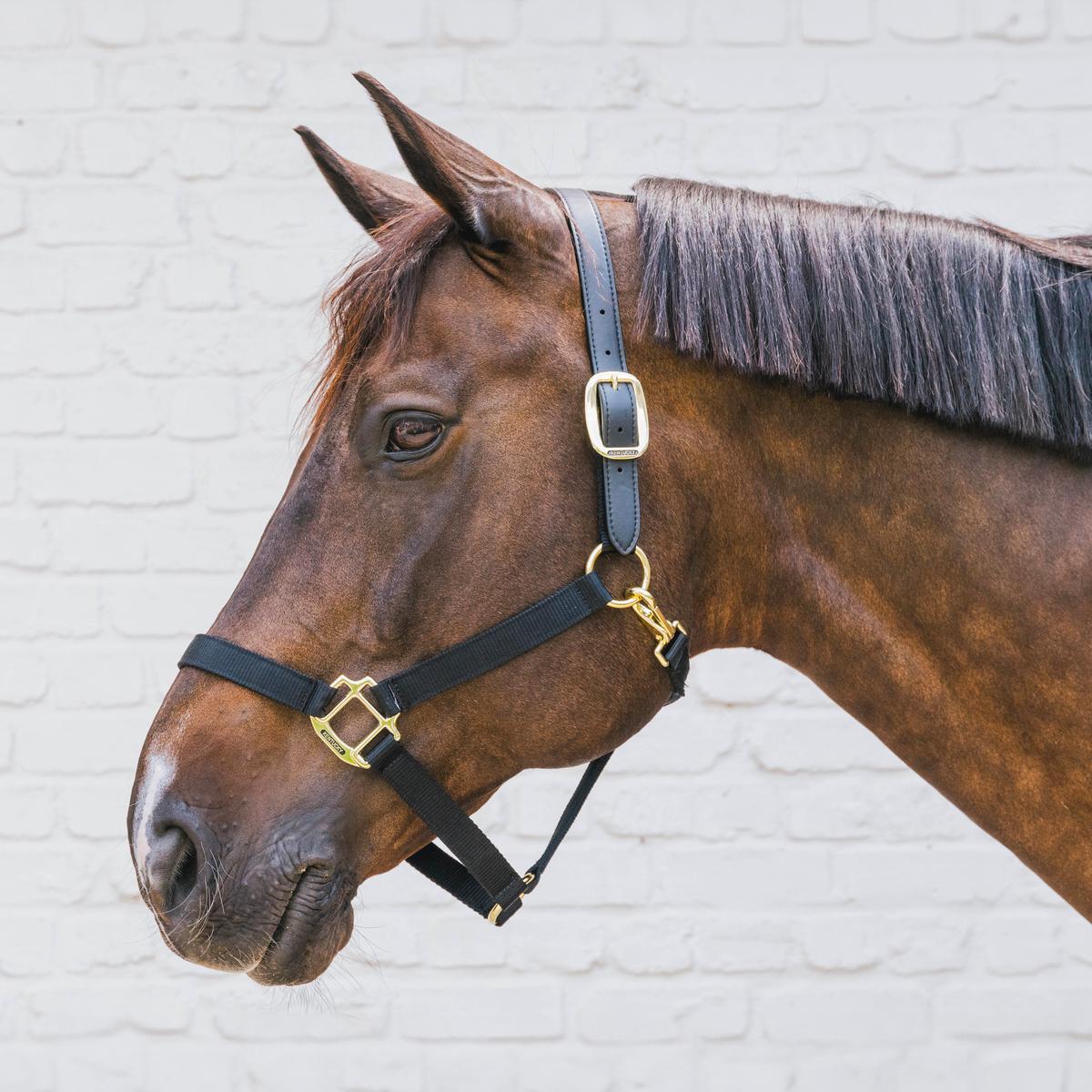 Kentucky Horsewear Nylon Halter Breakaway