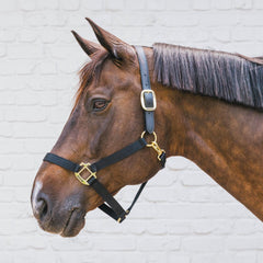 Kentucky Horsewear Nylon Halter Breakaway Neck Piece