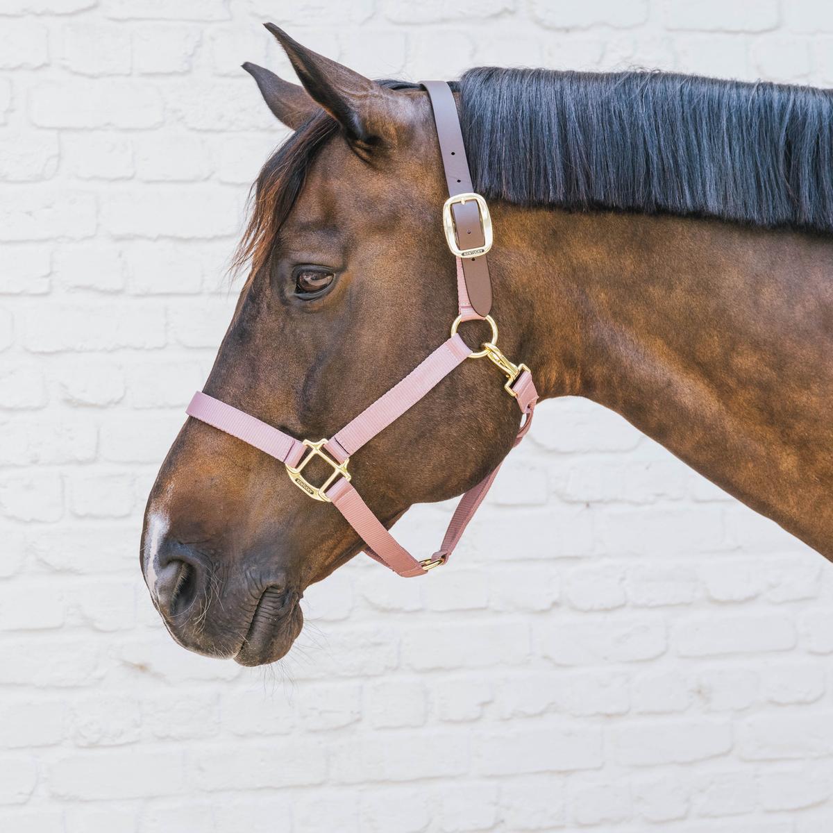 Kentucky Horsewear Nylon Halter Breakaway
