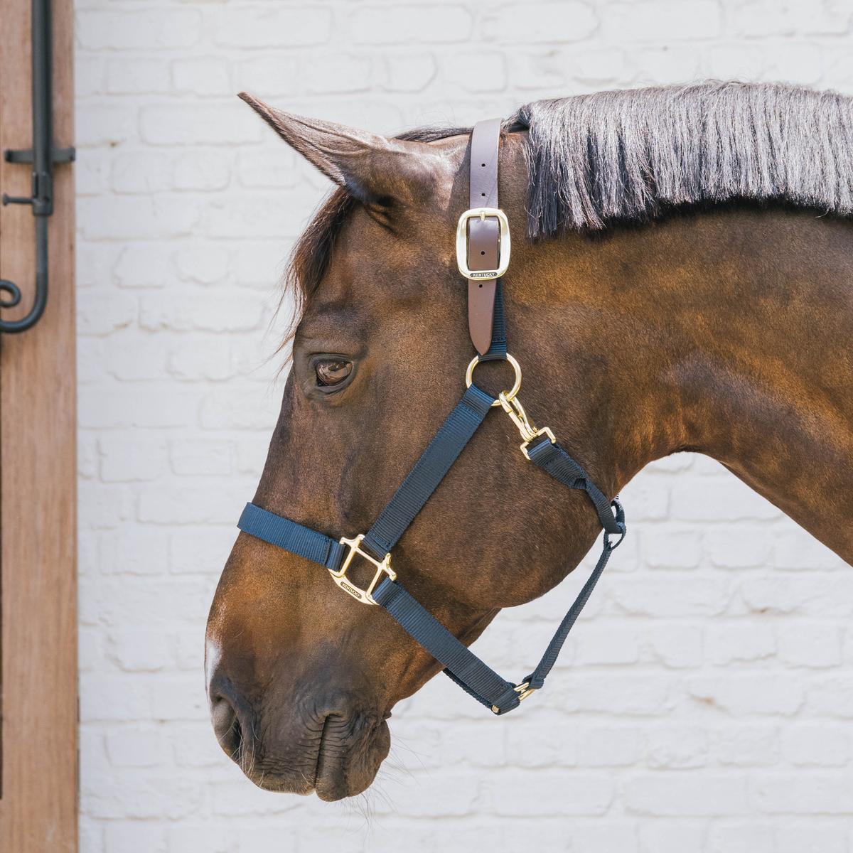 Kentucky Horsewear Nylon Halter Breakaway