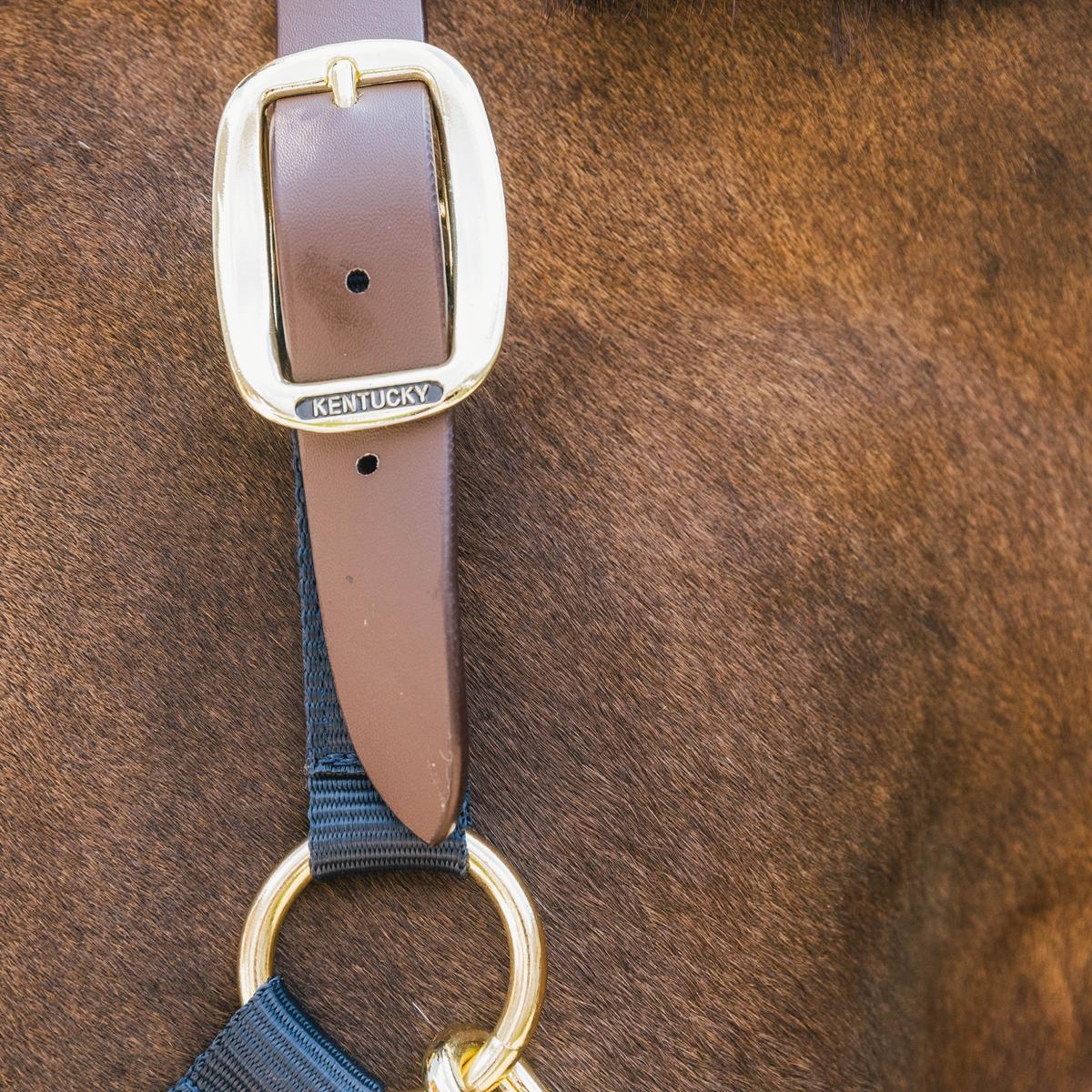 Kentucky Horsewear Nylon Halter Breakaway