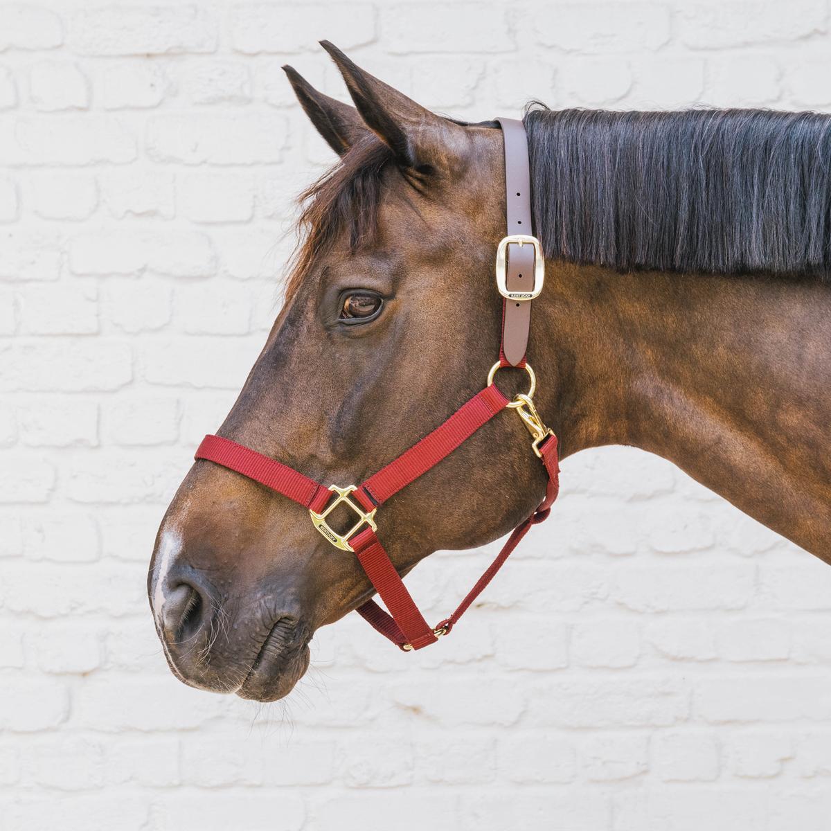 Kentucky Horsewear Nylon Halter Breakaway