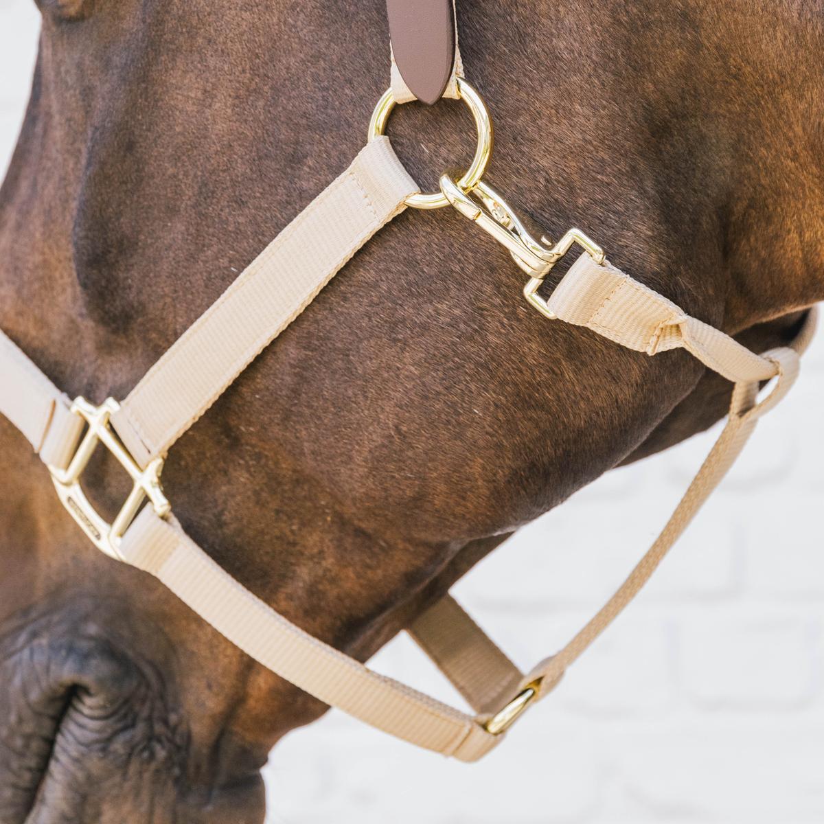 Kentucky Horsewear Nylon Halter Breakaway
