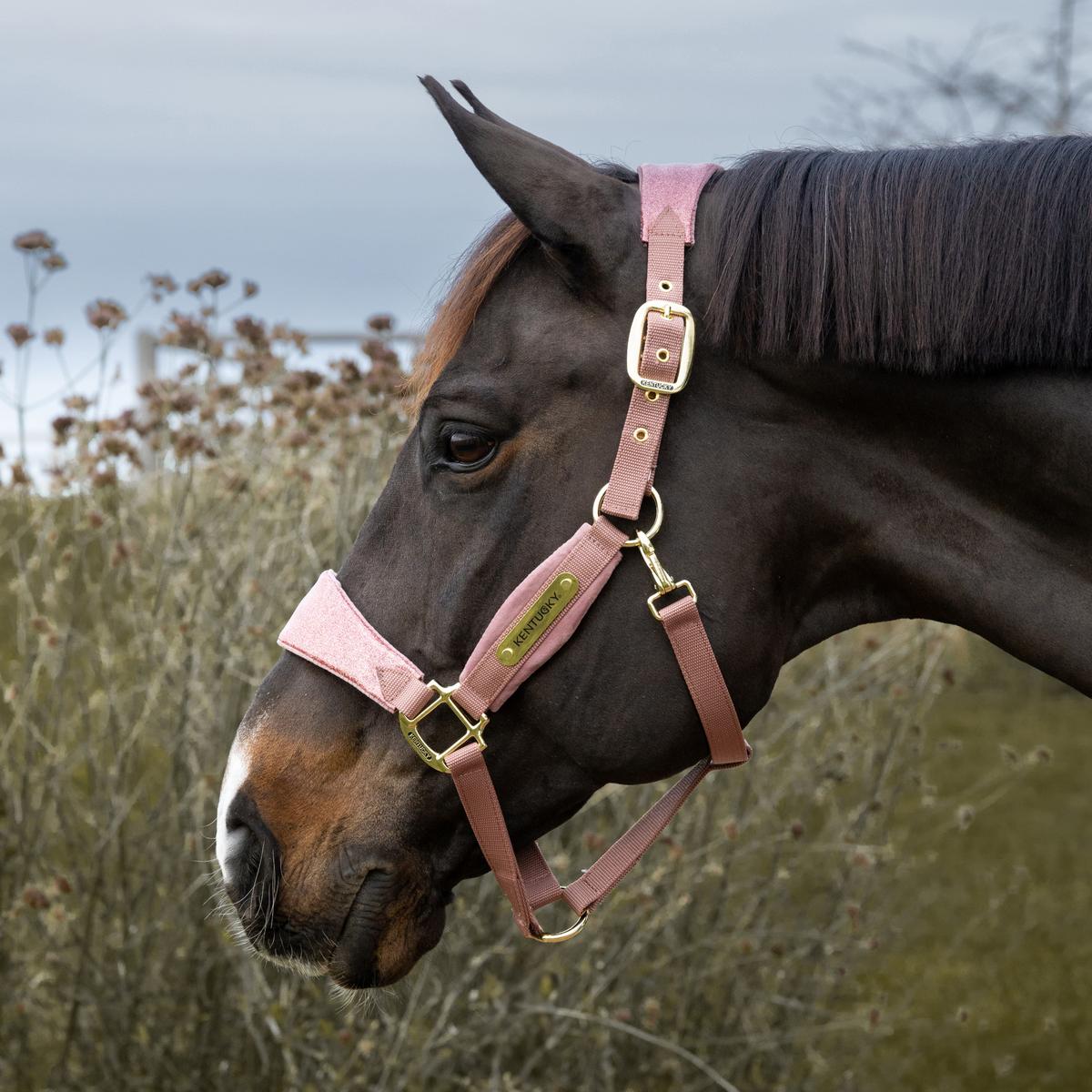 Kentucky Horsewear Velvet Halter Unicorn Glitter