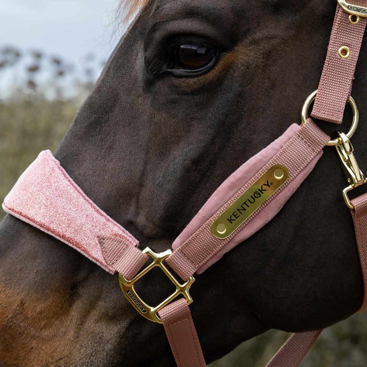 Kentucky Horsewear Velvet Halter Unicorn Glitter