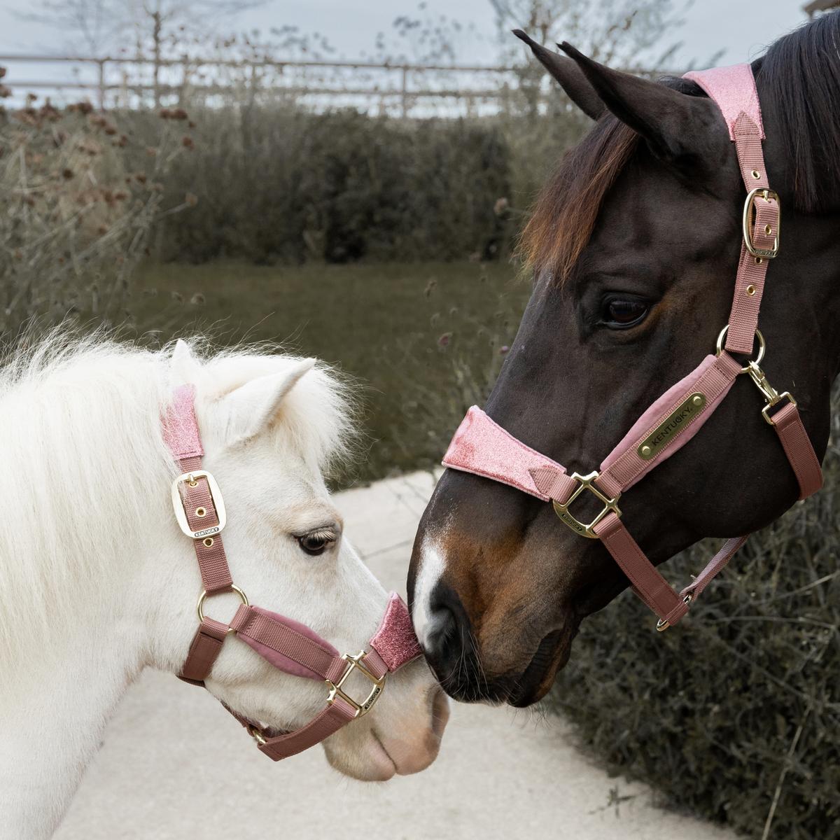 Kentucky Horsewear Velvet Halter Unicorn Glitter