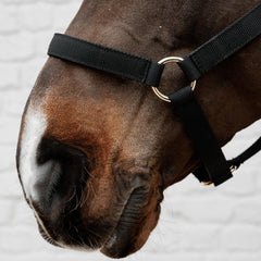 Kentucky Horsewear Nylon Halter