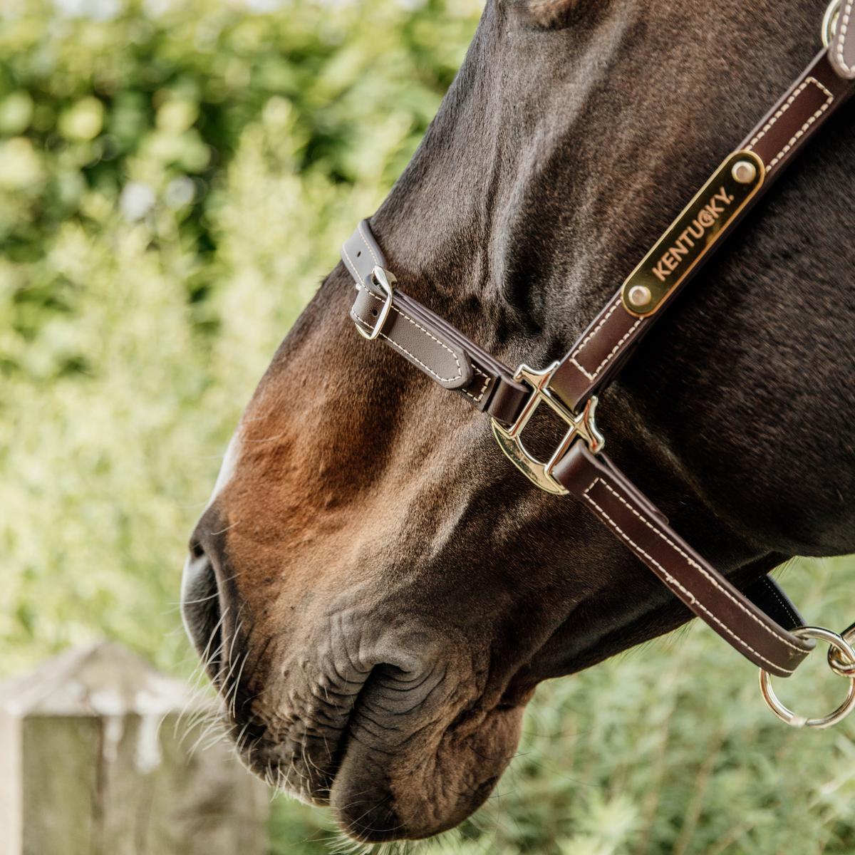 Kentucky Horsewear Leather Halter Flexible Neck Piece