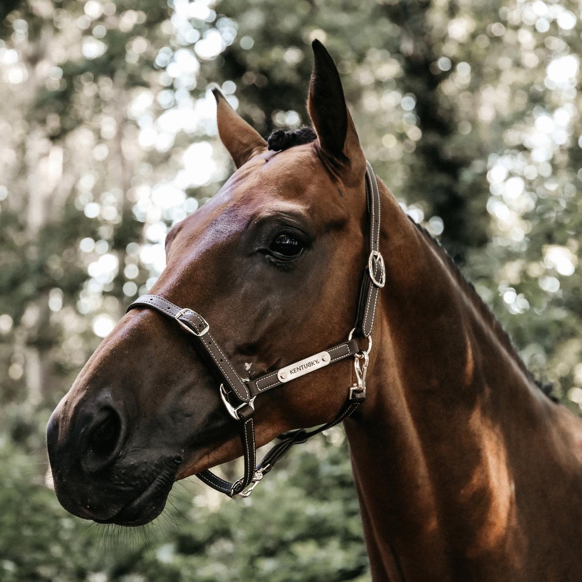 Kentucky Horsewear Leather Halter Flexible Neck Piece