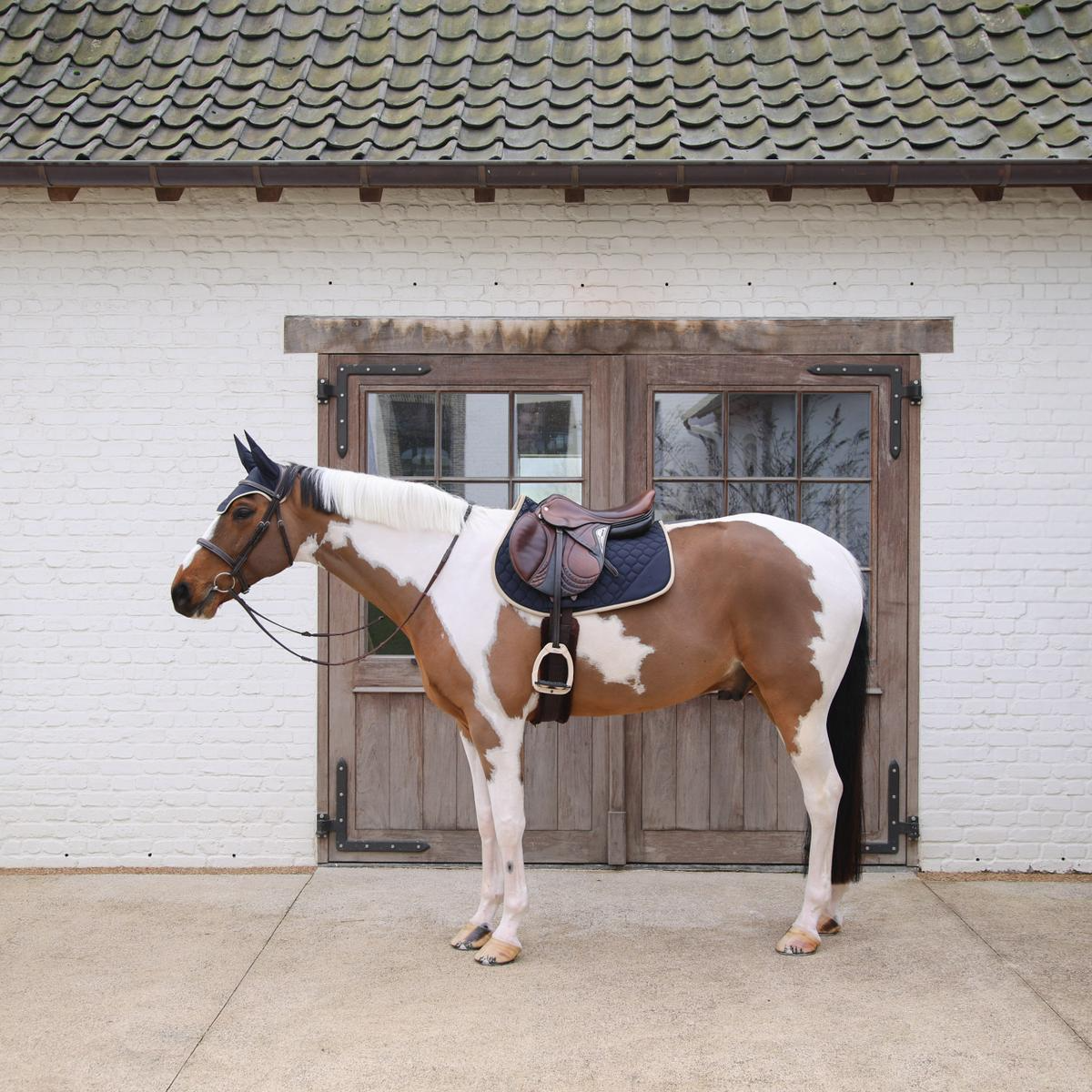 Kentucky Horsewear Saddle Pad Softshell Onion Quilt Jumping