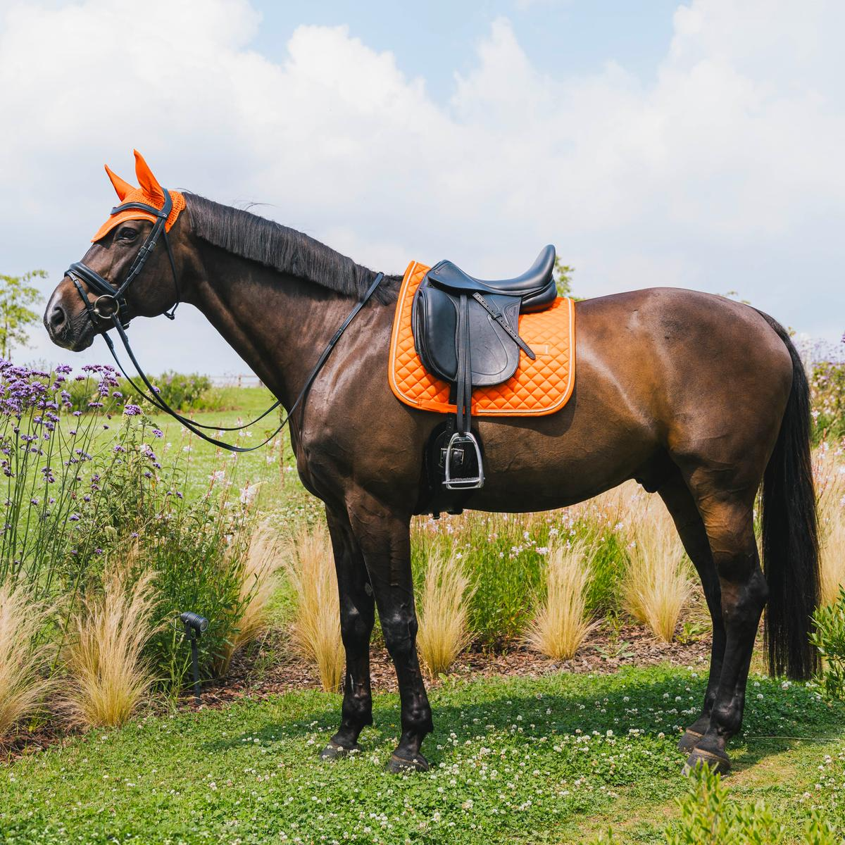 Kentucky Horsewear Saddle Pad Diamond Rope Dressage