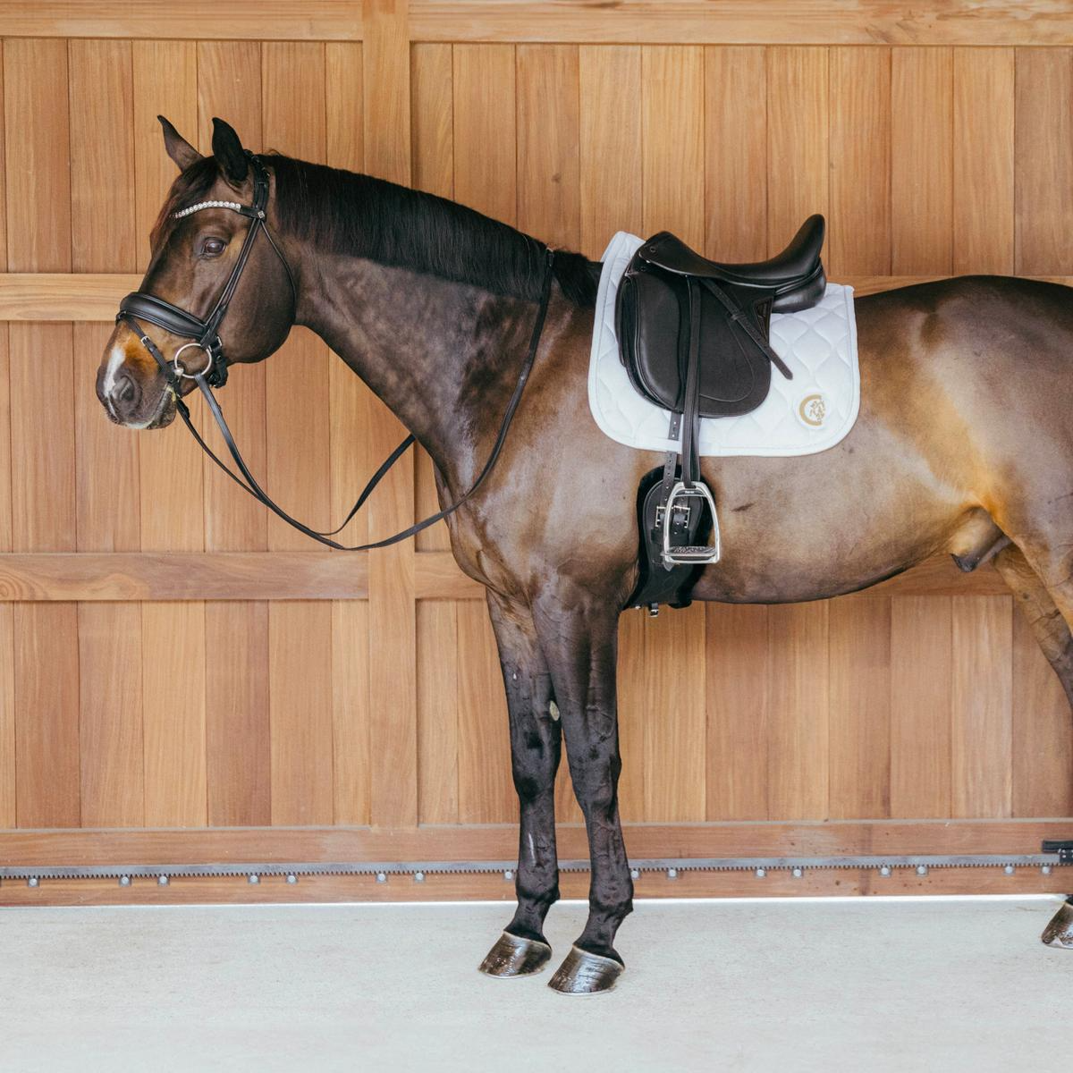 Kentucky Horsewear Saddle Pad Wave Dressage