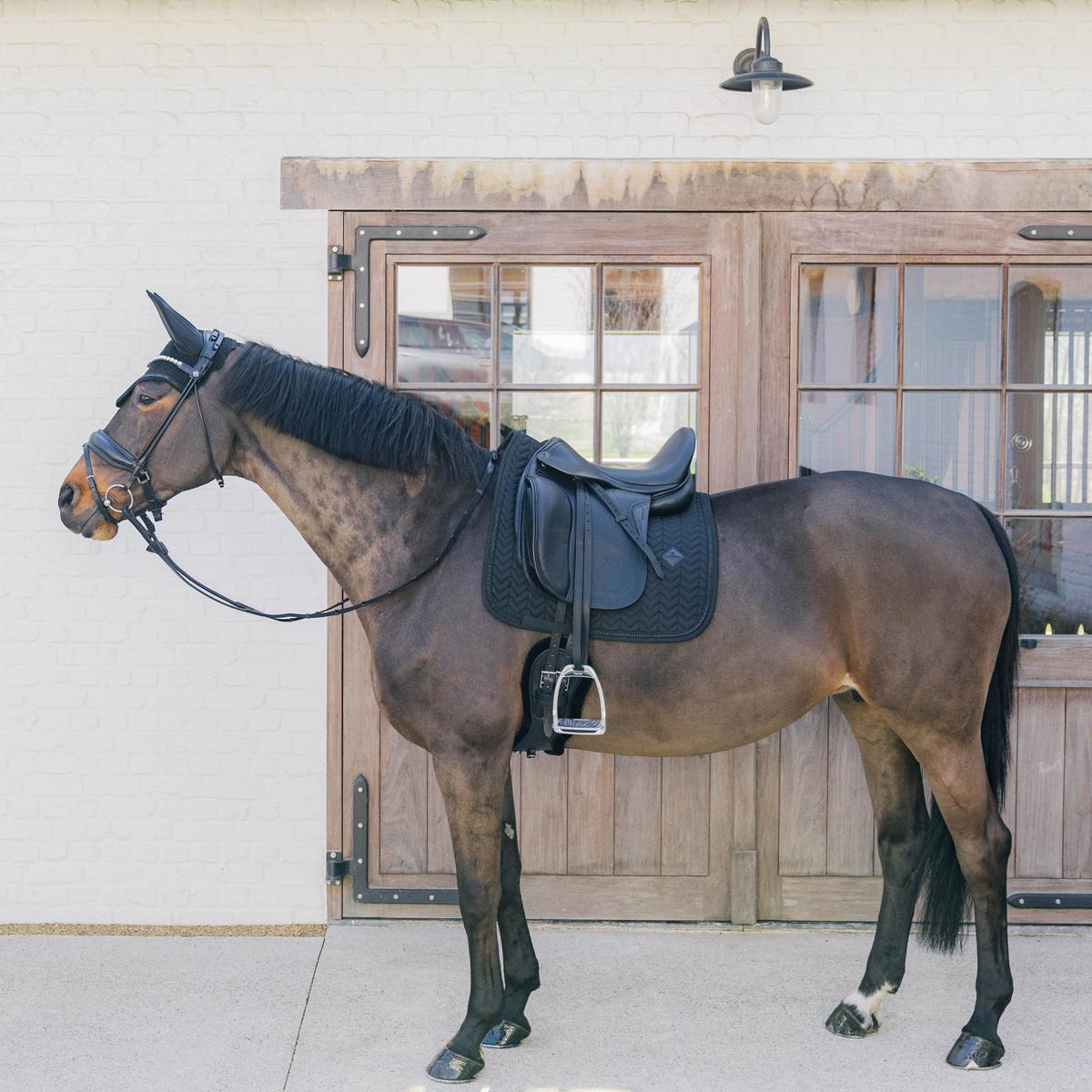 Kentucky Horsewear Saddle Pad Metal Chain Dressage