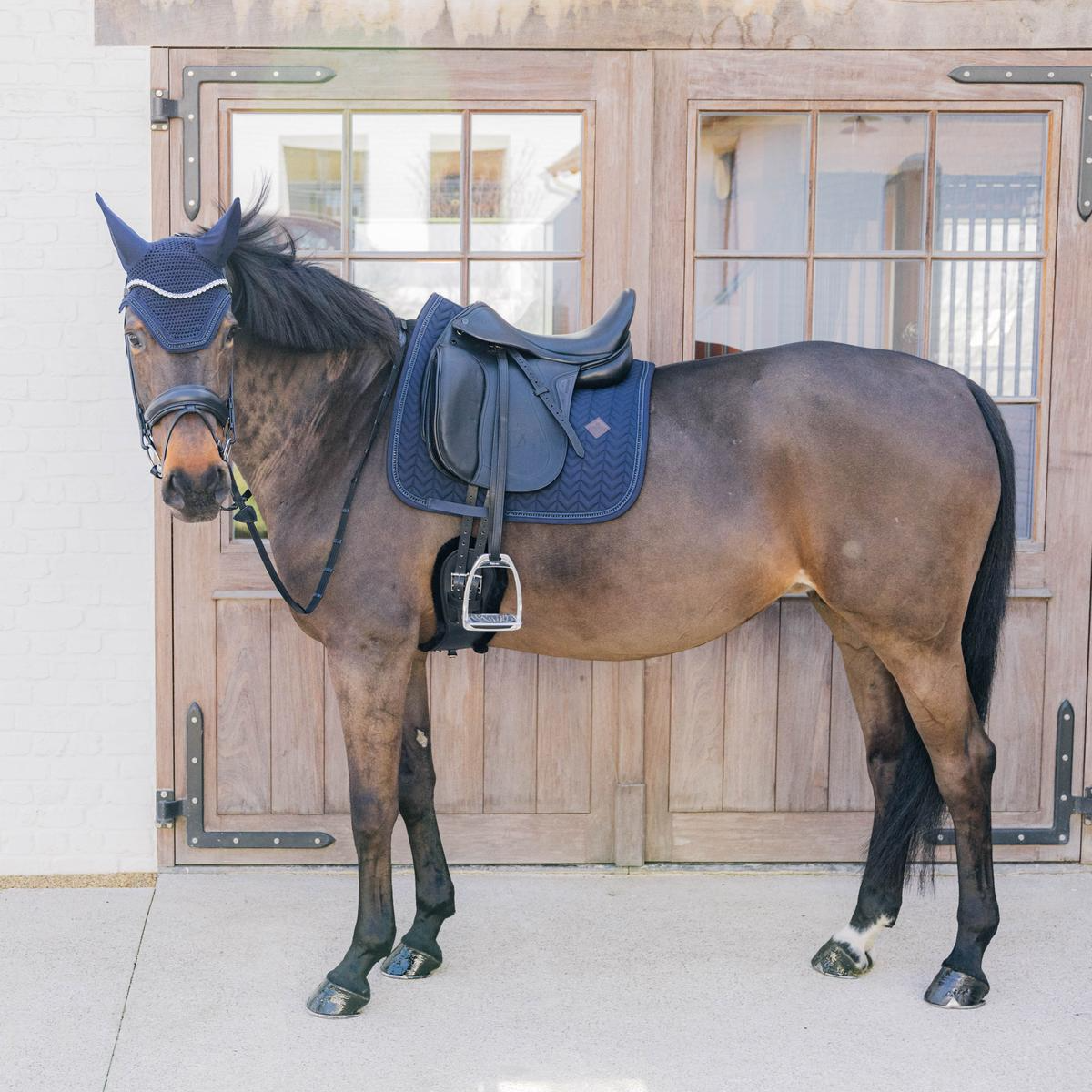 Kentucky Horsewear Saddle Pad Metal Chain Dressage
