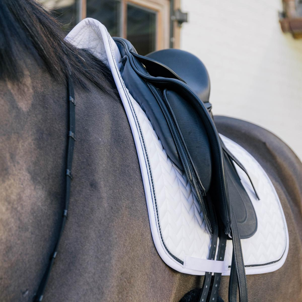 Kentucky Horsewear Saddle Pad Metal Chain Dressage