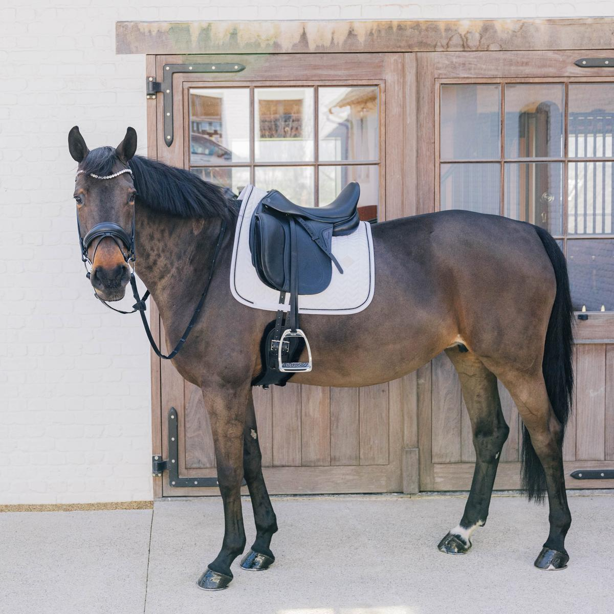 Kentucky Horsewear Saddle Pad Metal Chain Dressage